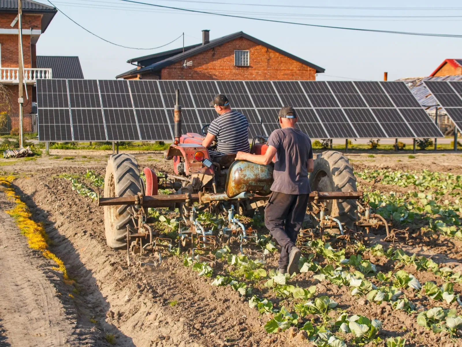 Solar Pumping Systems
